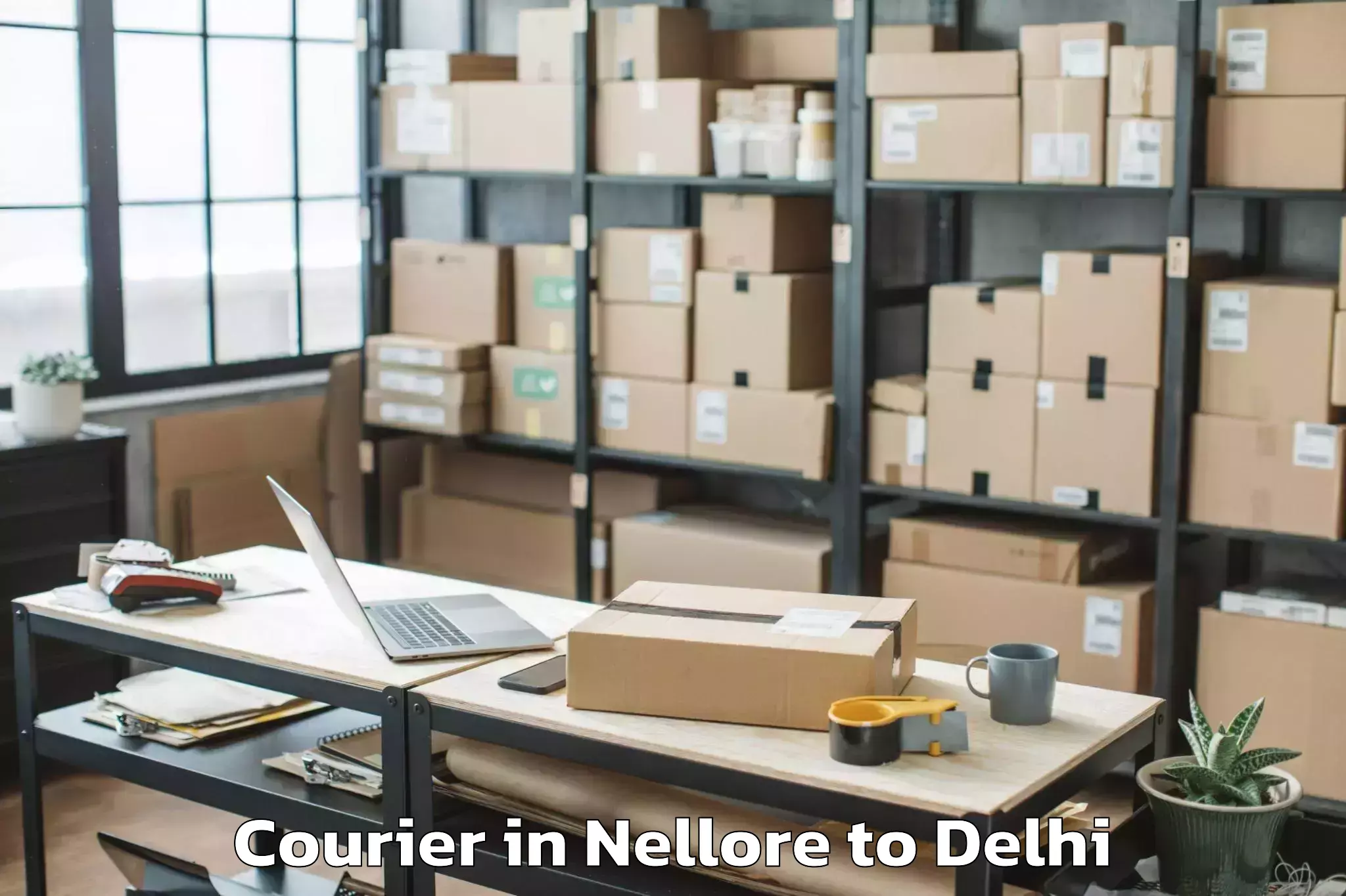 Professional Nellore to Flatted Factory Complex Okhla Courier